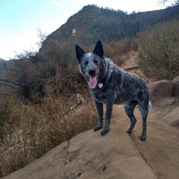 Meet your Posher, Joseph - Picture 3 of 3